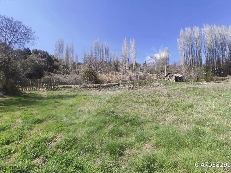 Köşe parsel merkeze 10 dk