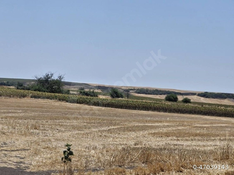 sahibinden satılık sanayi imarlı arsa
