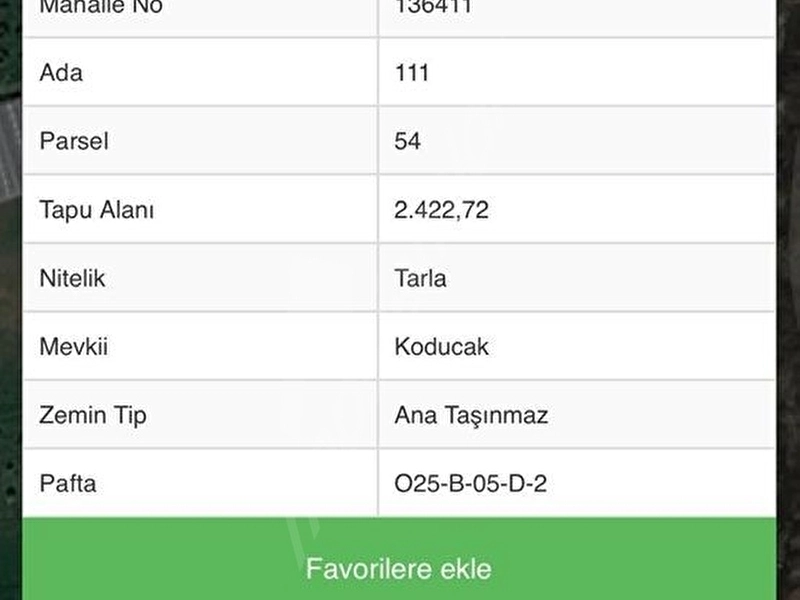 Acil Satılık Zeytinlik