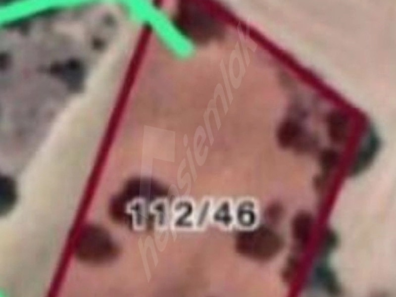 Acil satılık yolu olan 6.485m Tarla Sakarya Taraklı içdedeler de.