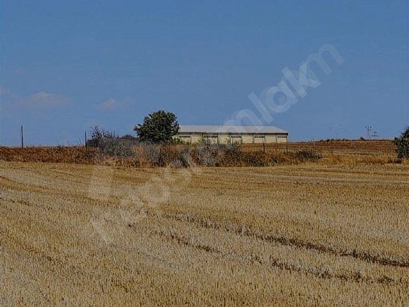 sahibinden satılık tarla