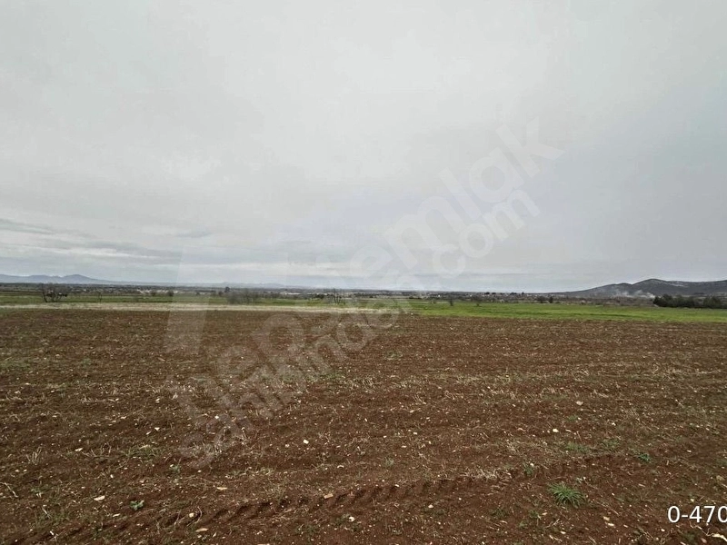 Sahibinden Denizli Bekilli 4168 metrekare müstakil tapu düz verimli arazi