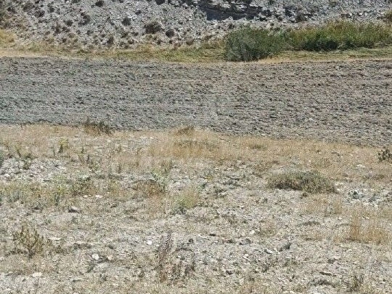 Gökler de tek tapu