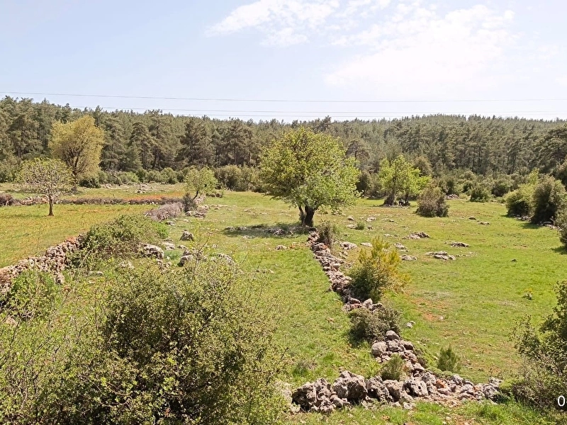 FIRSAT!! DENİZE YAKIN 300 M2 KONUT YAPI KAYIT BELGELİ SATILIK 3069 M2 ARAZİ