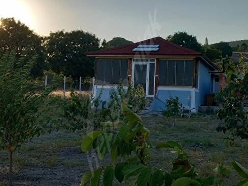 Tek tapu bağ evi