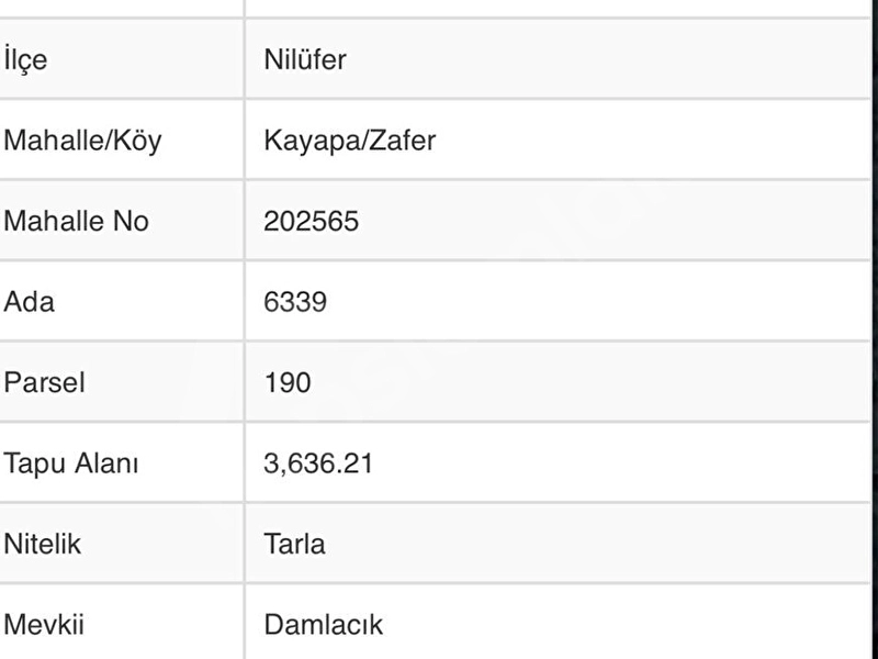 KAYAPADA DEĞER KAZANAN LOKASYONDA 1.818 m² VİLLALIK TARLA