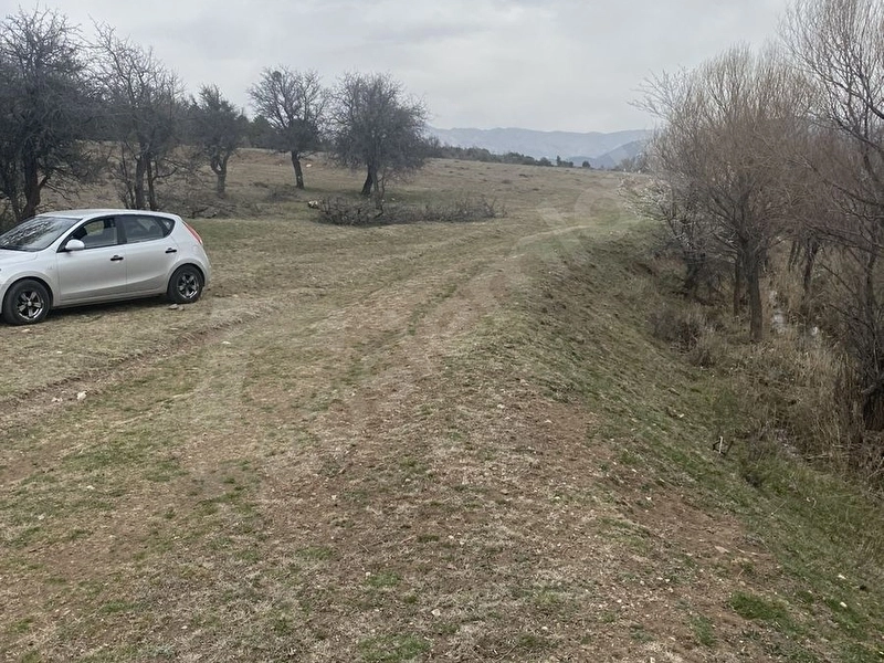 Çobanisa’da 1503 Metrekare Müstakil Tapulu Resmi Yola Cephe Tarla