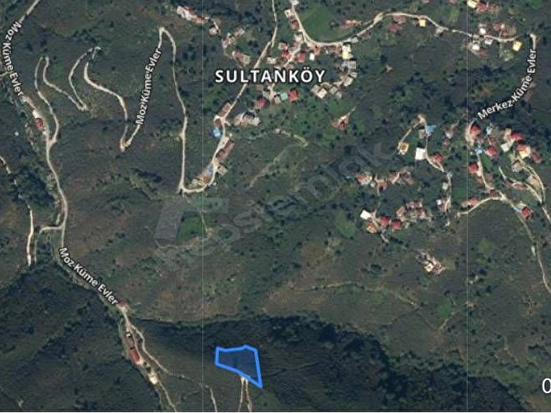 Giresun Tirebolu"da 3054m2 Yolu Olan Fındık Bahçesi