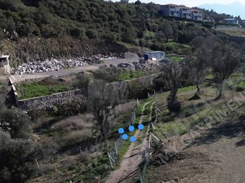 İzmir Kemalpaşa Kuyucak Hisse Tapulu Satılık Bahçe