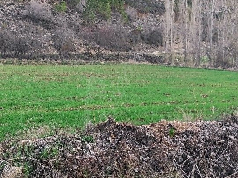 BAŞARAKAVAK'TA DERE KENARINDA SATILIK BAHÇE TARLA
