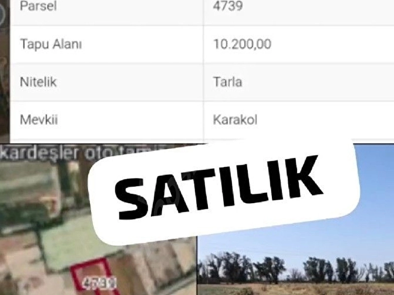 EYLÜL 'E KADAR BU FİYAT