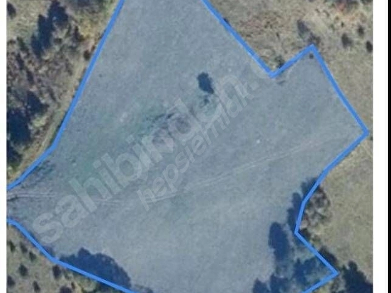 Bolu Mudurnu Taşkesti Ekinören köyü Tek parça 13.238 m2 satılık