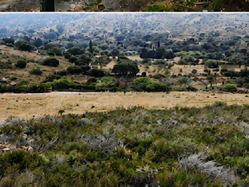 bodrum Dereköy de satılık