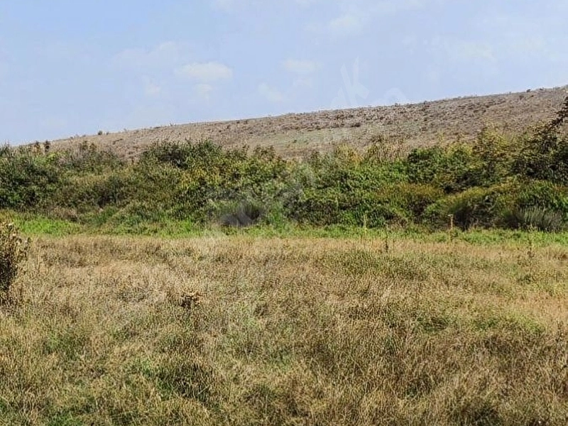Çanakkale Bayramiç Tarla
