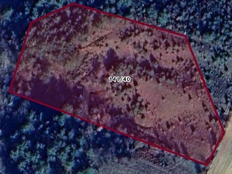 ACİL 11.000 M2 SATILIK MÜSTAKİL TAPULU TARLA