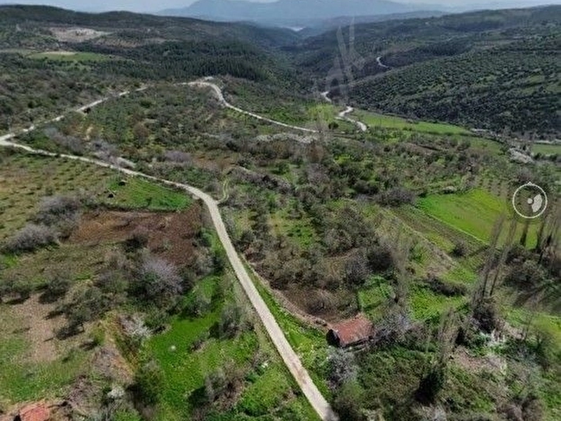 Manisa Soma boncuklu 1.410 mt tek tapu