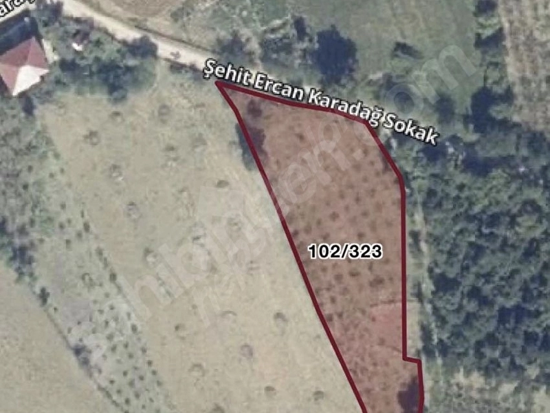 Sahibinden Satılık Bahçe Vasıflı Fındıklık