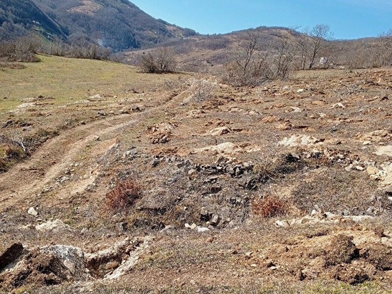 7 dönüm fındık Dikili kadasal yola cephe satılık tarla