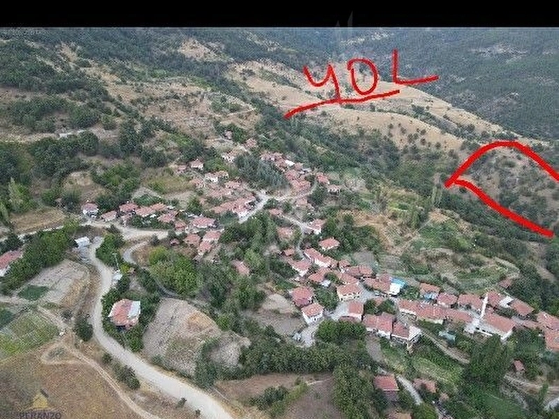 Sındırgı pelitoren de