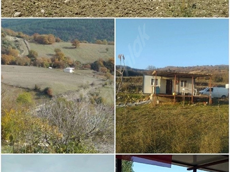 2270m2 Meyve ve hobi bahçesi.Tlf.5414572310