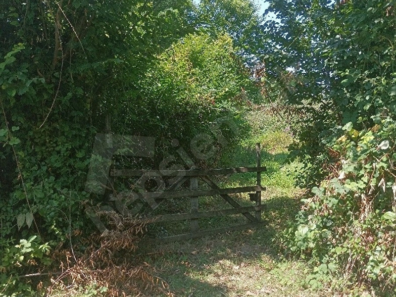 SATILIK TERME KOYBUCAGİ FINDIKLIK TARLA
