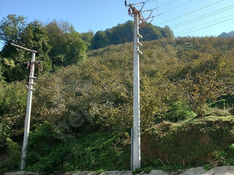 Satılık fındık bahçesi ve arsa