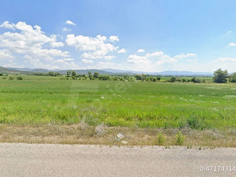 Konya Hüyük'te Yola Yakın! 2.523 m² Müstakil Tapulu Tarla