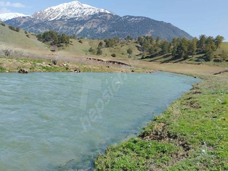 GÖKSUN KALE'DE ÇAYA VE BARAJA ÇOK YAKIN , YOLU OLAN SULU TARLA