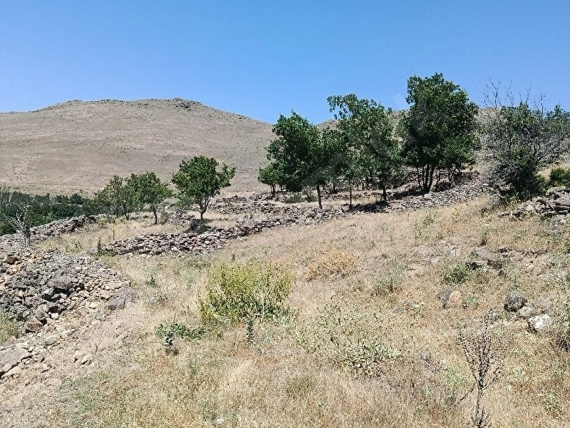 yukarı develi satlık bağ
