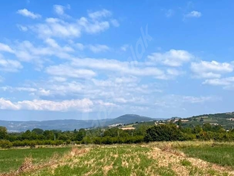 SAHİBİNDEN İNEGÖL ORTAKÖY'DE SATILIK TARLA