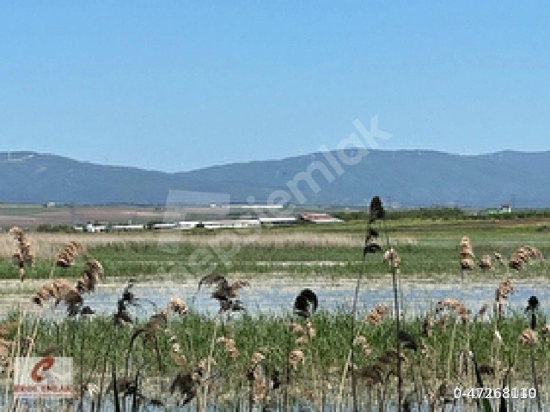sabinden kus cenneti köyü satılık tarla