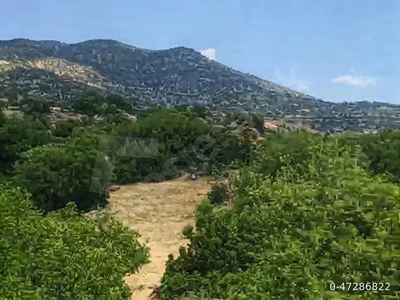 22 dönüm arazi alaşehir merkeze 10 dk mesafede