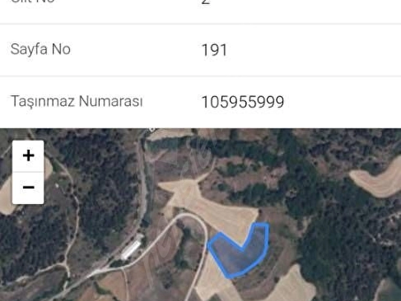 Banaz köyü merkez yol kenarında 4991 metrekare tarla