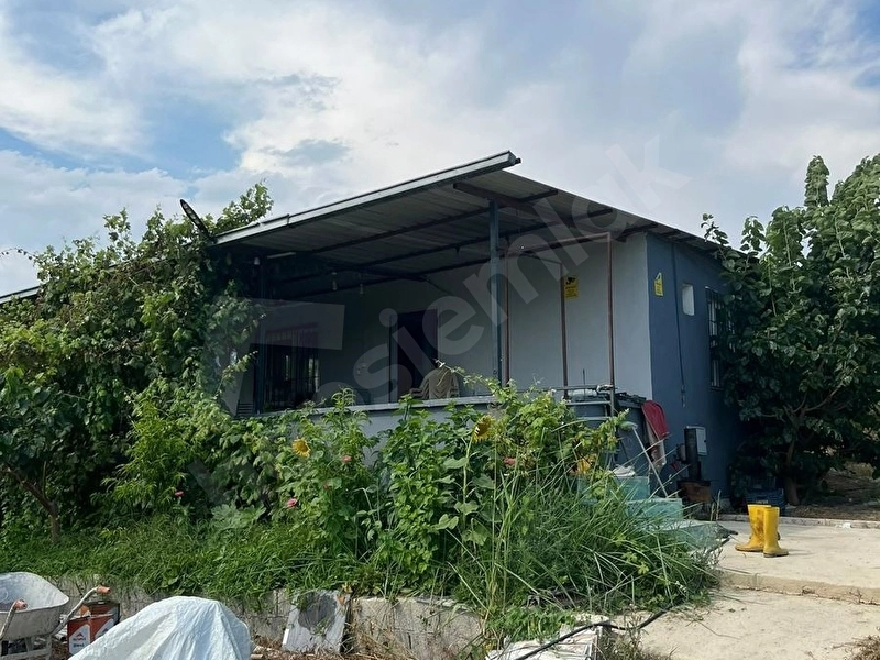 Sahibinden Mersin/Tarsus Hacıhamzalı’da 13.300m2 Bahçe