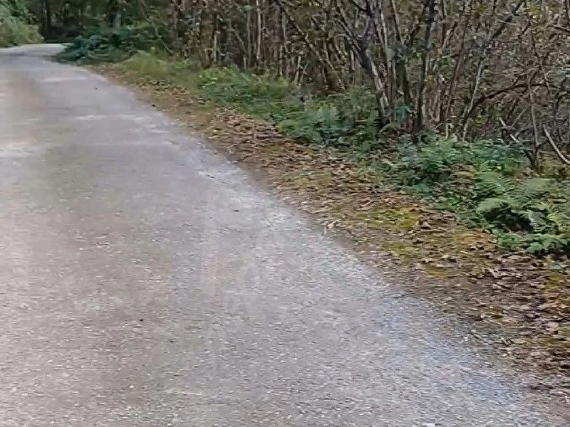Giresun Görele'de Müstakil Tapulu Ana Yola Cephe 590 m2 Parsel.