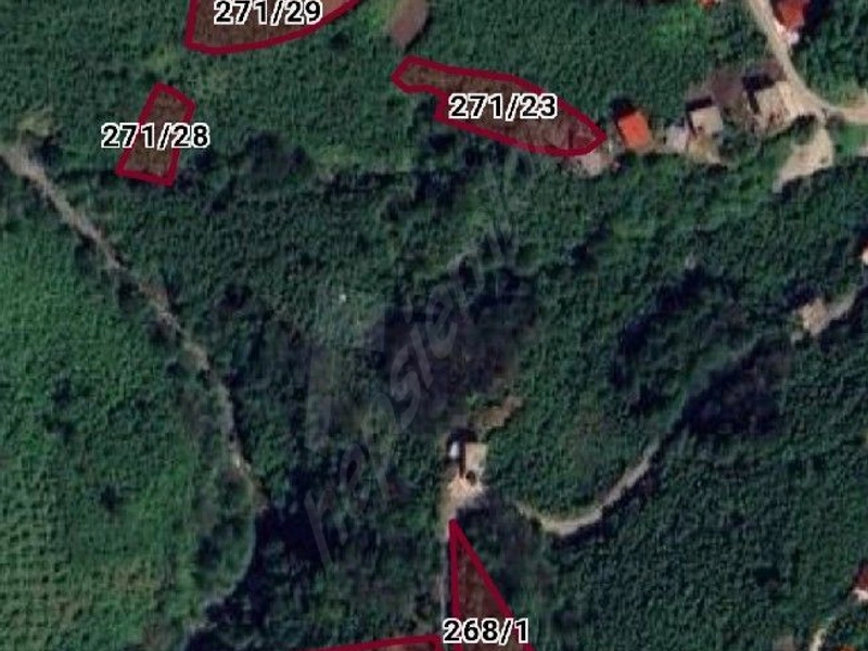 Giresun Görele Karlıbel'de 17 Adet Hisseli Parseller.
