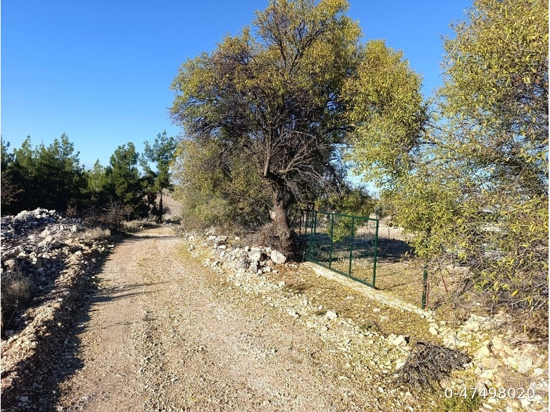 uzunpinar koyun dibi imar sınırında