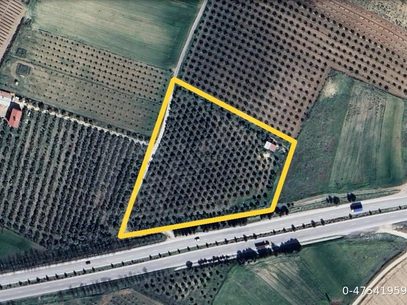 SAHİBİNDEN SALİHLİ OSB KARŞISI YOLA SIFIR  TARLA - DEĞERLİ ARAZİ