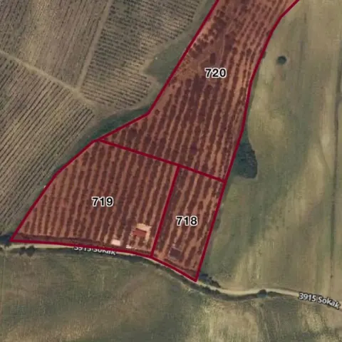 Malkara Gönence’de 36.450 m² Verimli Ceviz ve Badem Bahçesi – Ev, Sulama Havuzu, Sondaj, Elektrik – Profesyonel Tarımsal Yatırım