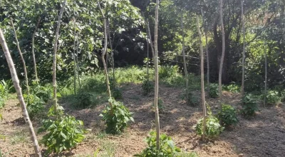 FERİZLİ CEYLANDEREDE TEK TAPU İMARLI ARSA
