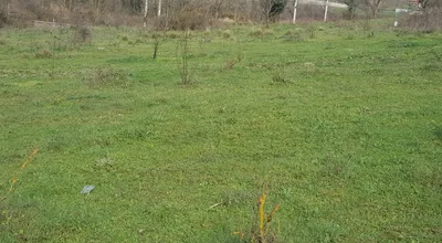 GEYVE EPÇELER DE YOLA CEPHE  SATILIK ARSA