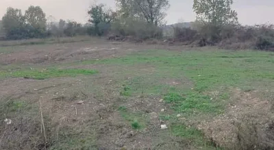 ADAPAZARI HARMANTEPE DE KÖYE YAKIN SATILIK ARSA