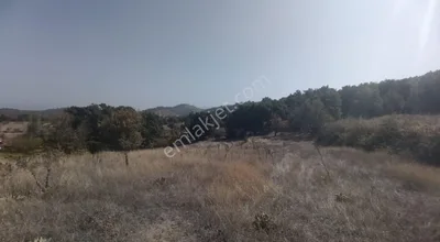 Sahibinden 3180 M² Doğa Manzaralı Köy İçi Arsa