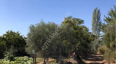 Sahibinden Köşe Konumda Acil Satılık Bahçe