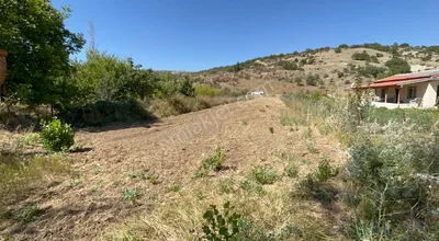 Sahibinden Karaman Yollarbaşı Özkesde Satılık Müstakil Tek Tapulu Bahçe