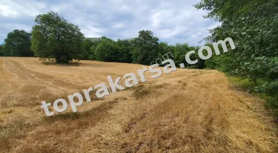 İzmit Süverler'de Sahibinden Satılık 5641 M2 Müstakil Tapu Tarla