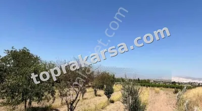 Sahibinden Honaz Kızılyer Anayol Cepheli Mükemmel Konumda Bahçe