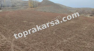 Sahibinden Damılı Köyü Yolu Var