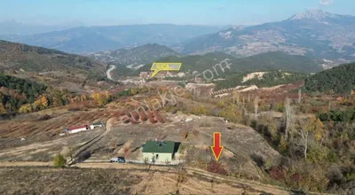 Sahibinden Geyvede Satılık Yollu Kupon Bahçe