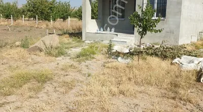 Sahibinden Kütahya Yoluna Yakin Tarla